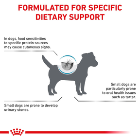 Royal Canin Veterinary Diets Derma Hypoallergenic Small Dog koiran kuivaruoka