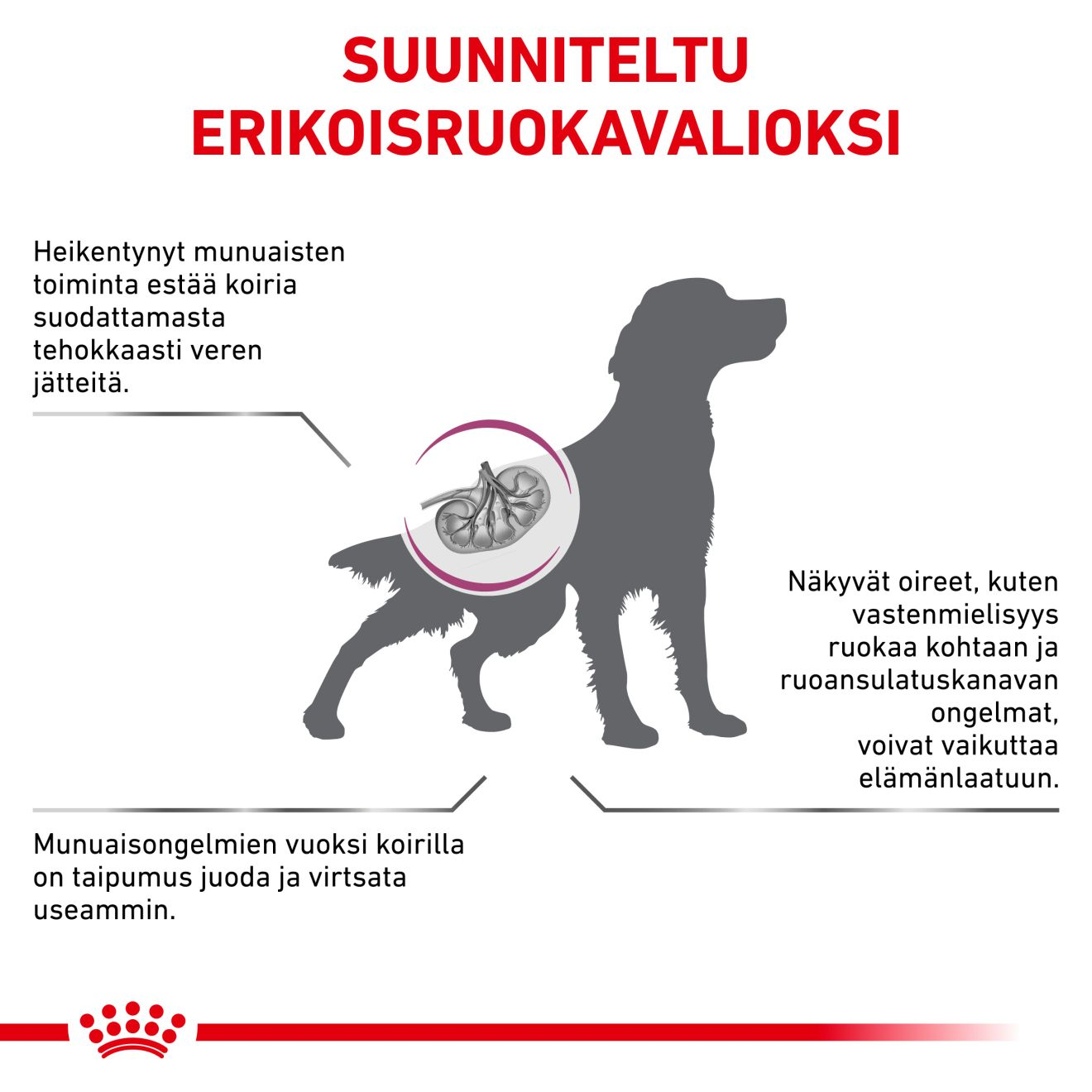 Royal Canin Veterinary Diets Renal koiran kuivaruoka