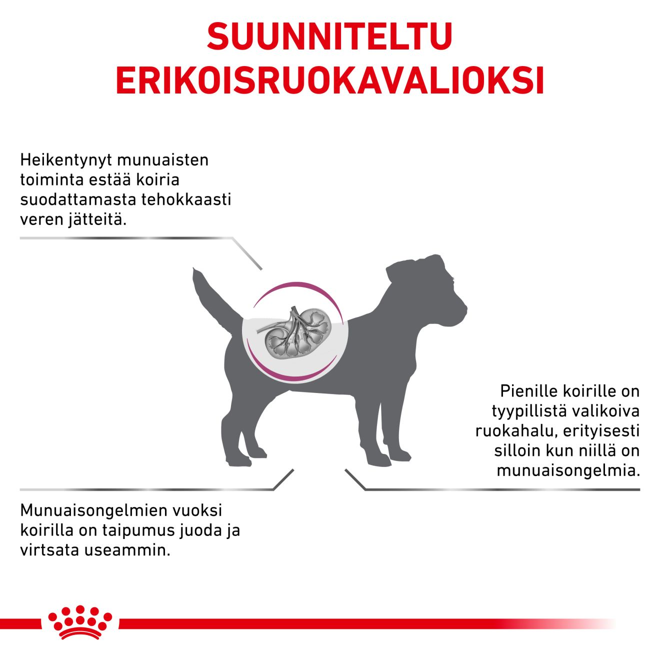 Royal Canin Veterinary Diets Vital Renal Small Dog koiran kuivaruoka