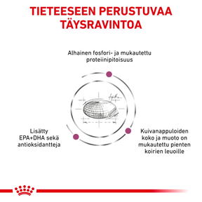 Royal Canin Veterinary Diets Vital Renal Small Dog koiran kuivaruoka