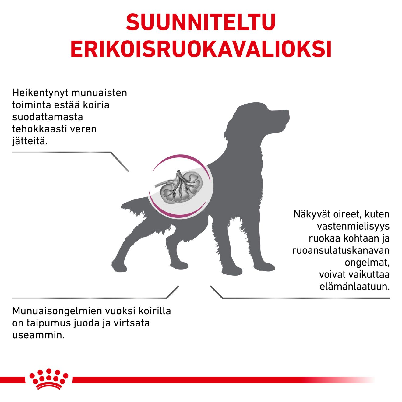 Royal Canin Veterinary Diets Renal Select koiran kuivaruoka