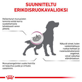 Royal Canin Veterinary Diets Renal Select koiran kuivaruoka