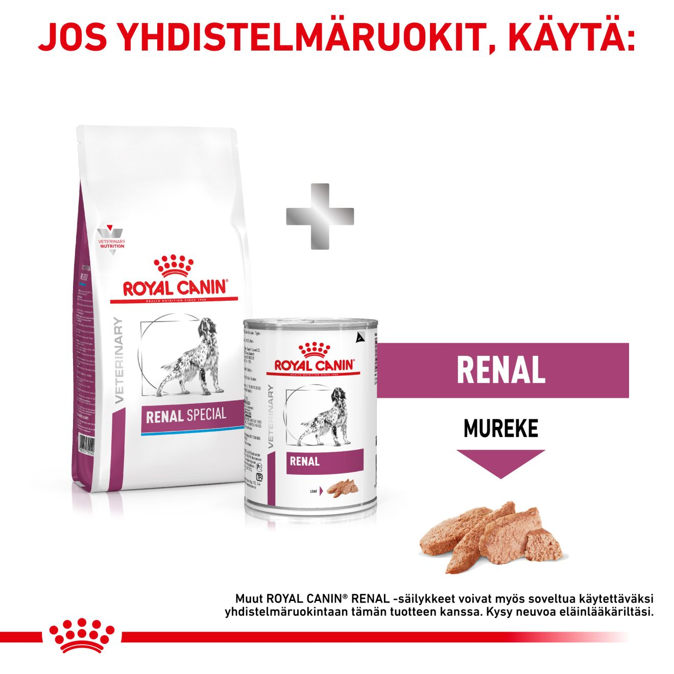 Royal Canin Veterinary Diets Renal Special koiran kuivaruoka