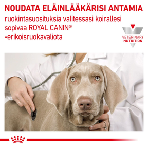 Royal Canin Veterinary Diets Renal Special koiran kuivaruoka