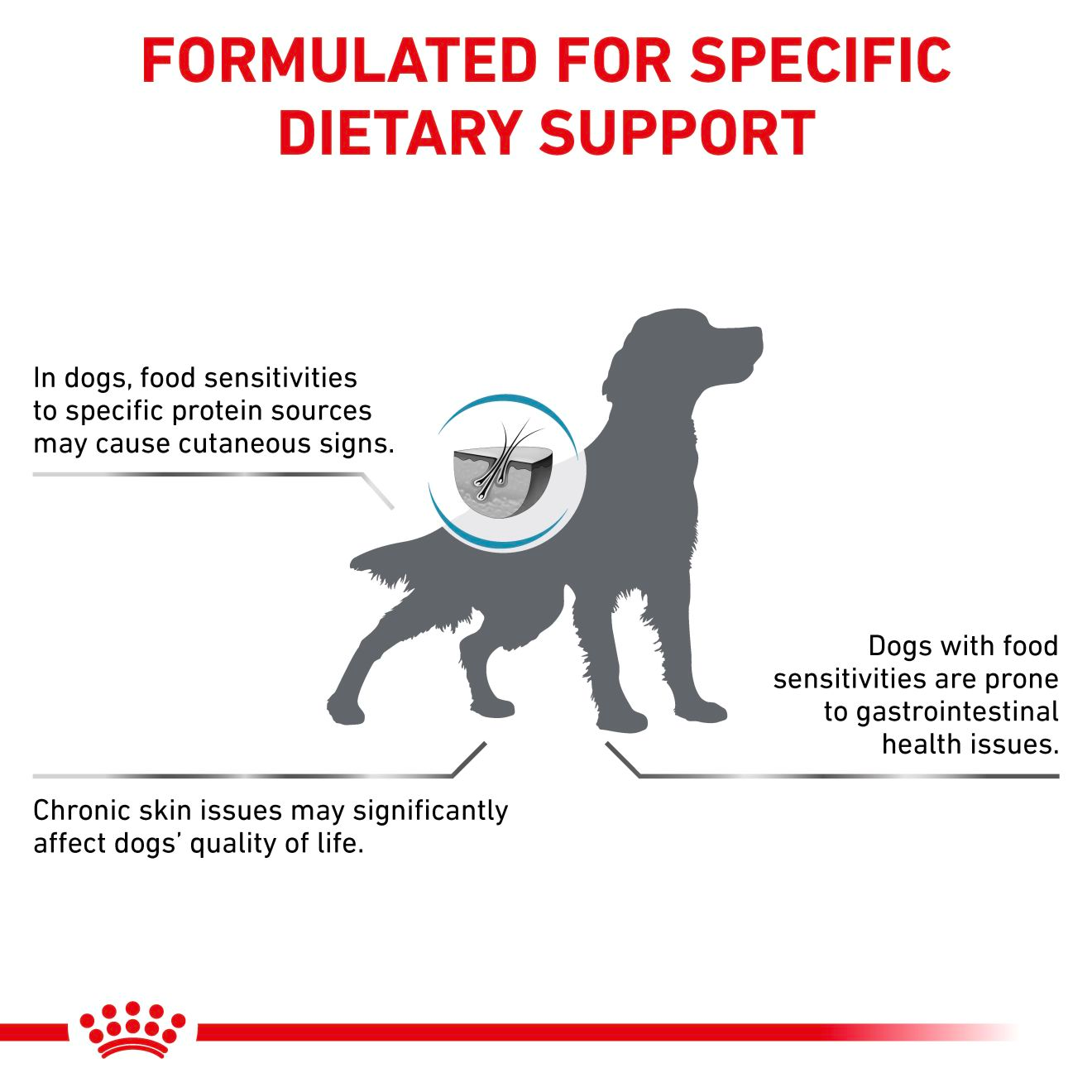 Royal Canin Veterinary Diets Derma Sensitivity Control koiran kuivaruoka