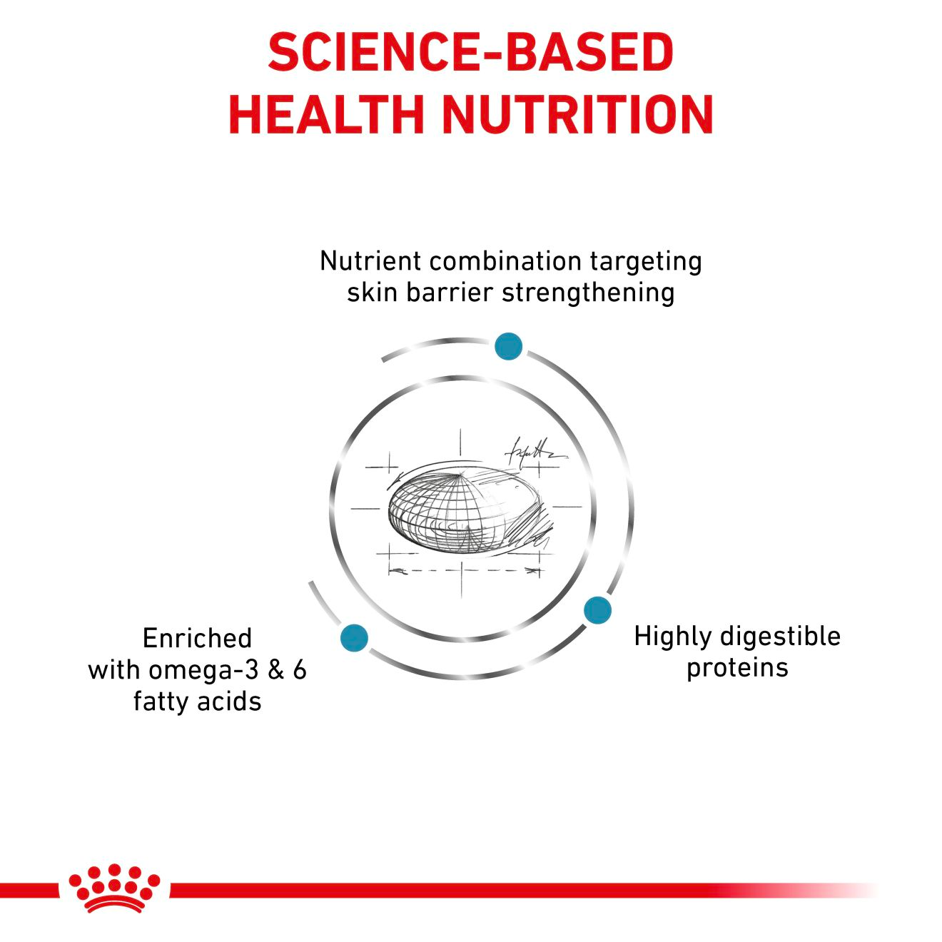 Royal Canin Veterinary Diets Derma Skin Care koiran kuivaruoka