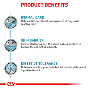 Royal Canin Veterinary Diets Derma Skin Care koiran kuivaruoka