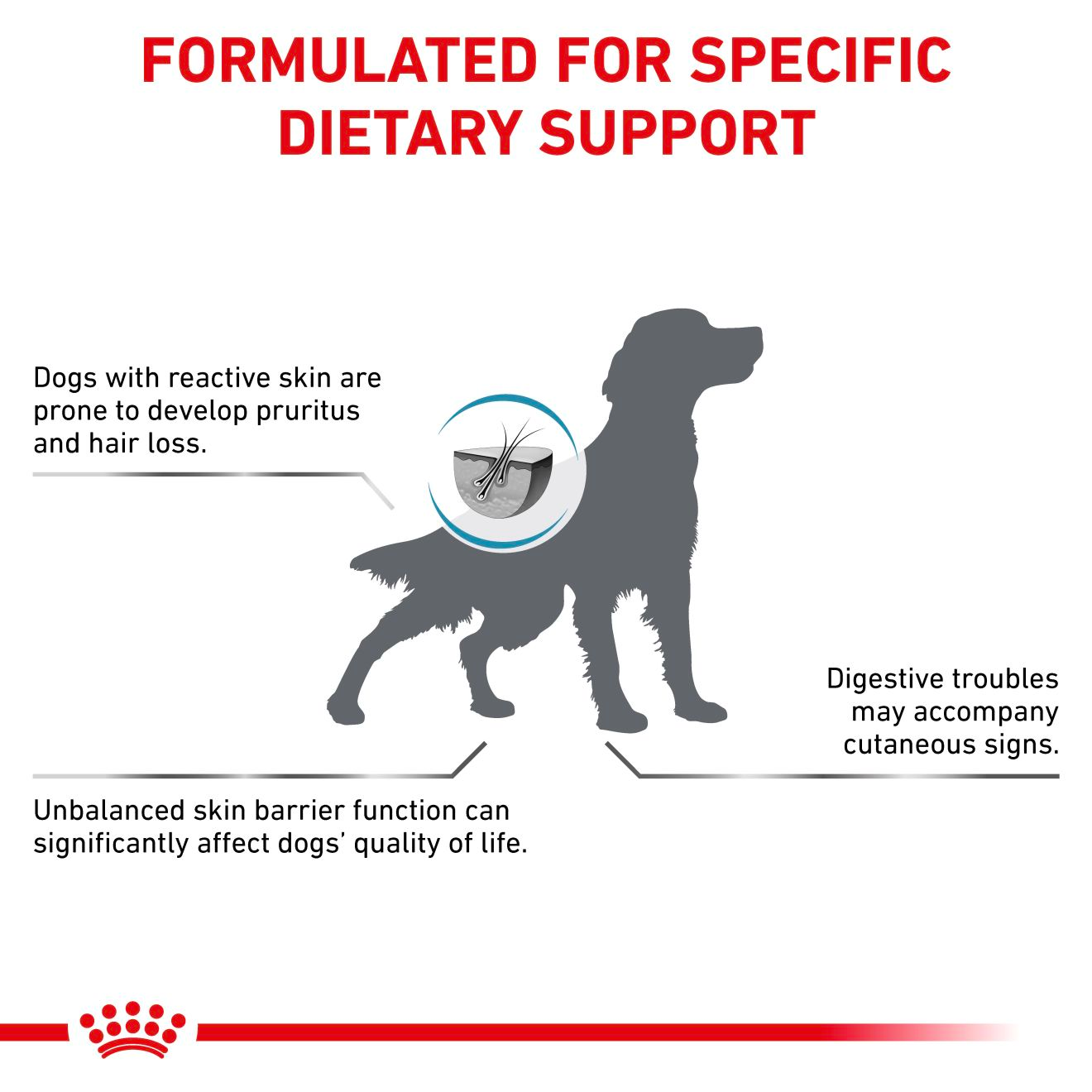 Royal Canin Veterinary Diets Derma Skin Care koiran kuivaruoka