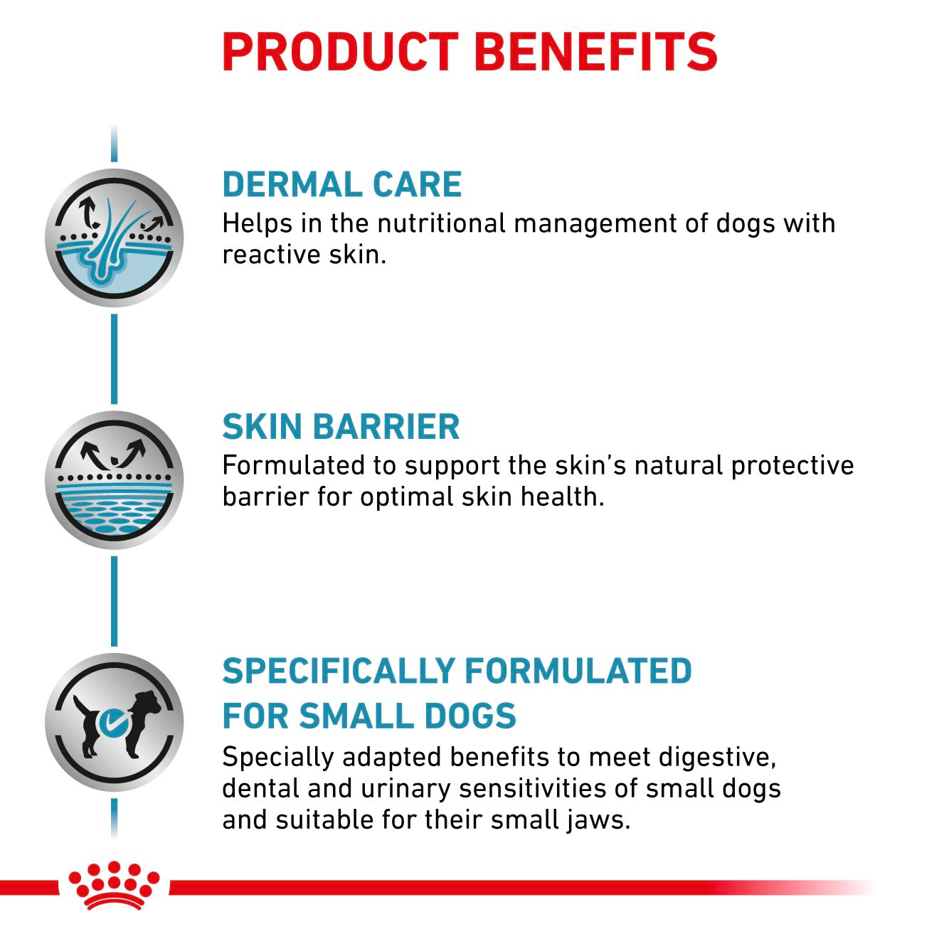 Royal Canin Veterinary Diets Derma Skin Care Small Dog koiran kuivaruoka