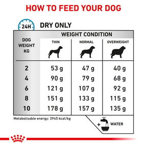 Royal Canin Veterinary Diets Derma Skin Care Small Dog koiran kuivaruoka