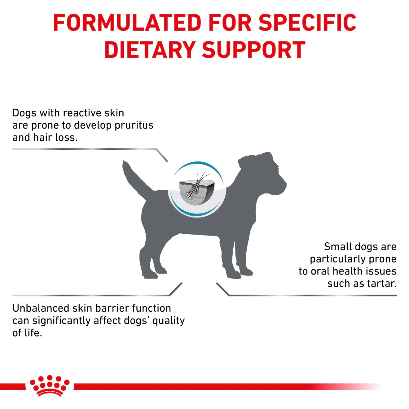 Royal Canin Veterinary Diets Derma Skin Care Small Dog koiran kuivaruoka