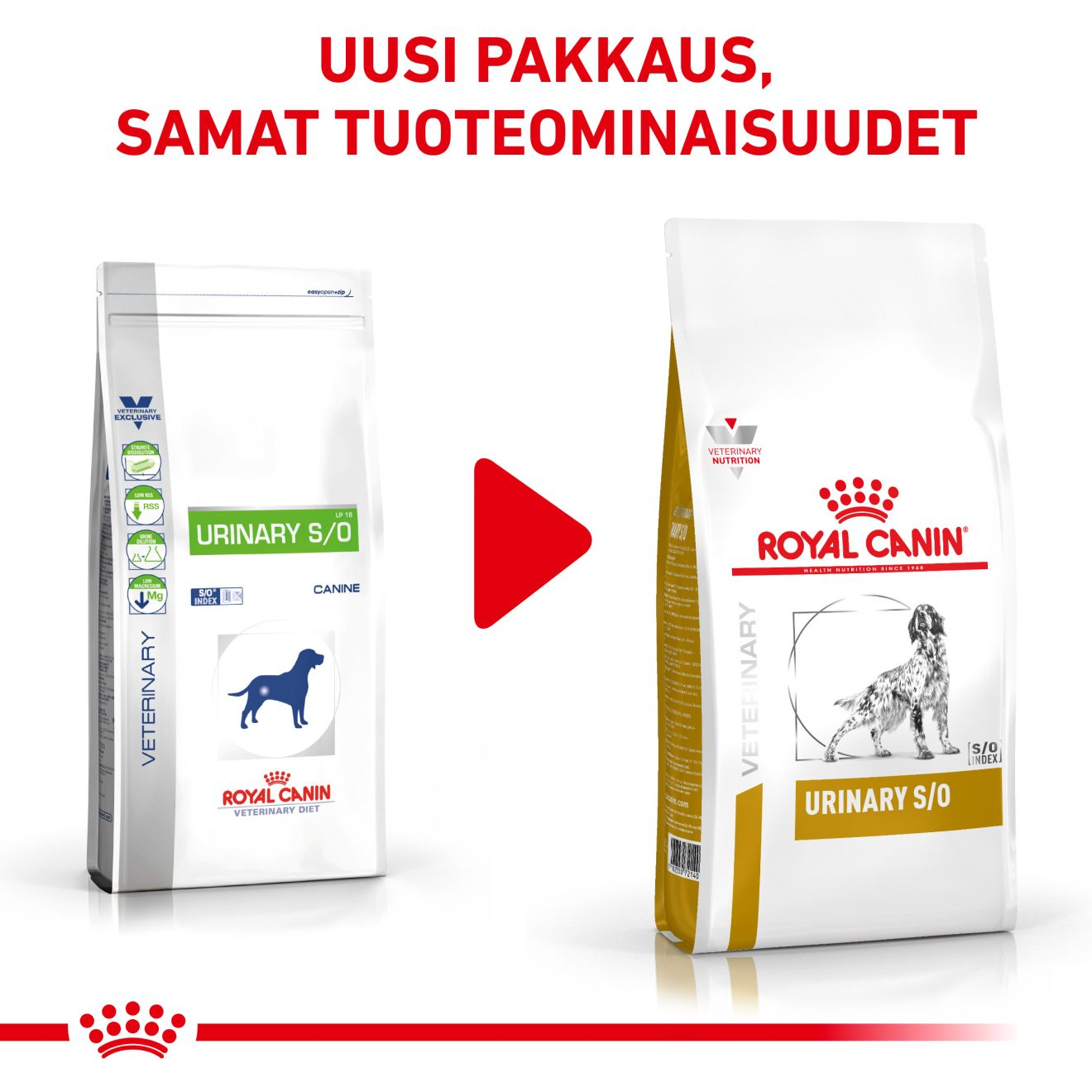 Royal Canin Veterinary Diets Urinary S/O koiran kuivaruoka