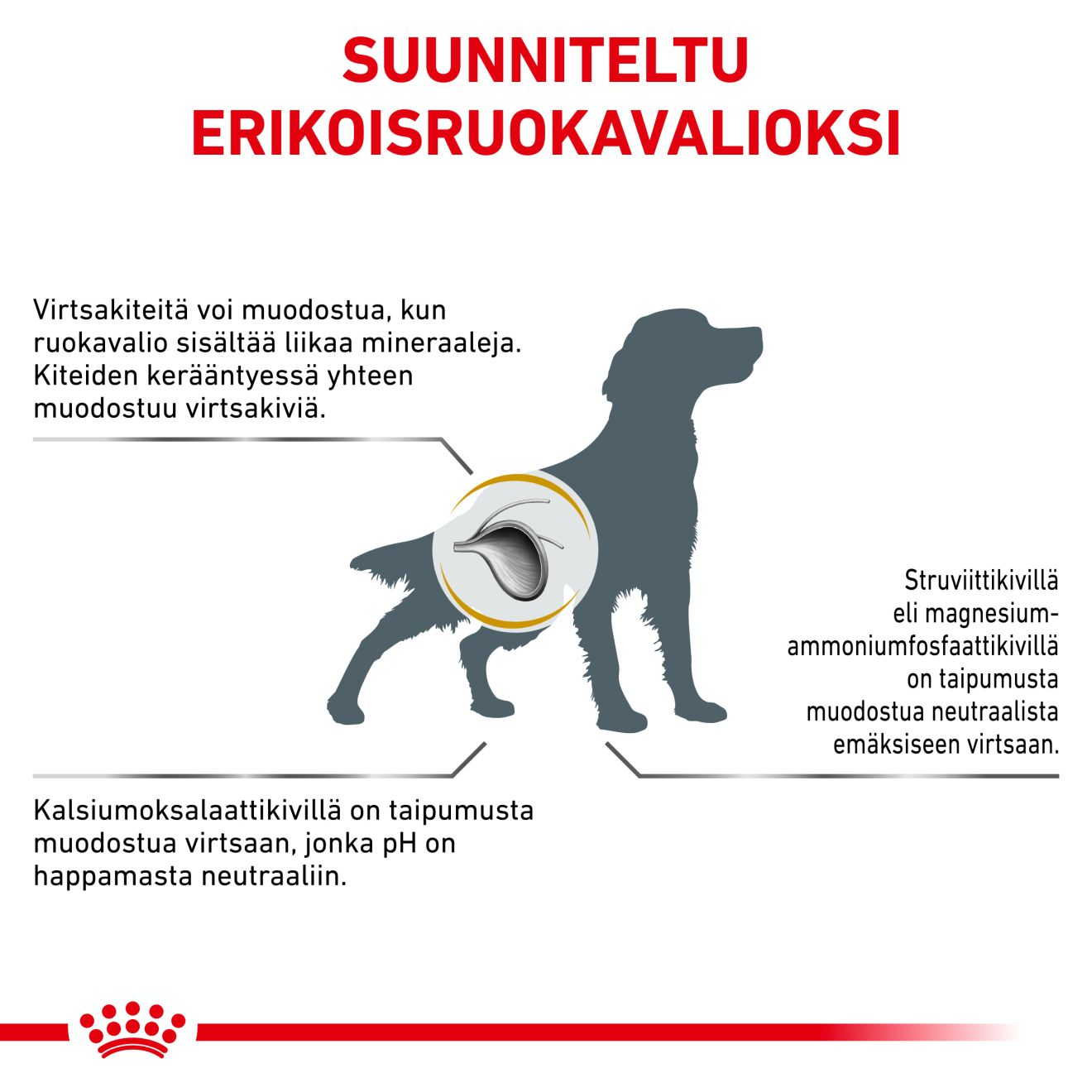 Royal Canin Veterinary Diets Urinary S/O koiran kuivaruoka