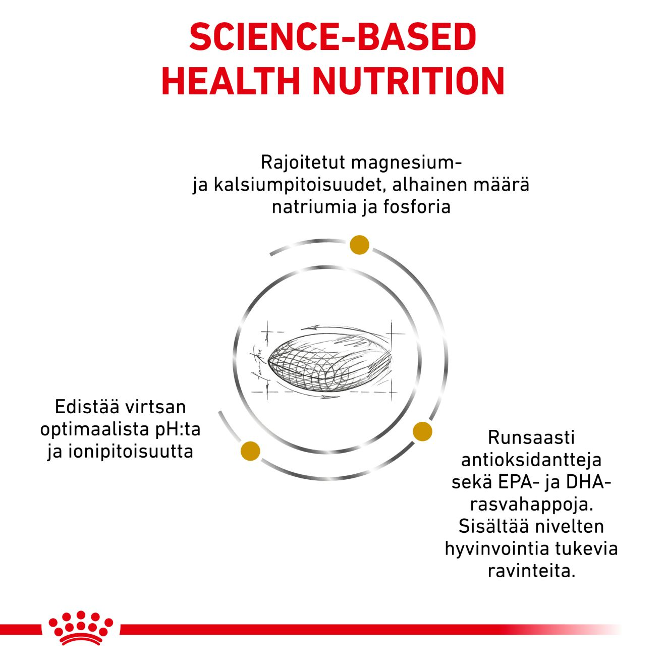 Royal Canin Veterinary Diets Urinary S/O Ageing koiran kuivaruoka