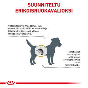 Royal Canin Veterinary Diets Urinary S/O Small Dog koiran kuivaruoka