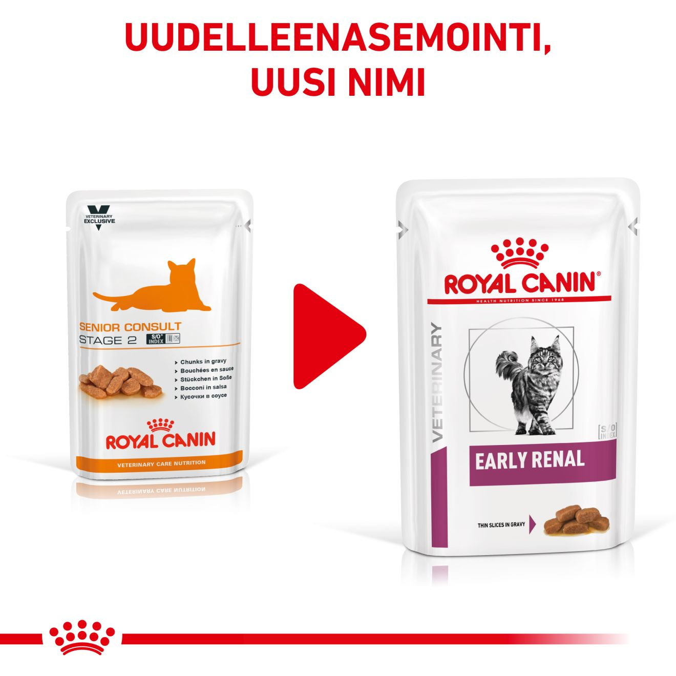 Royal Canin Veterinary Diets Vital Early Renal kissan märkäruoka