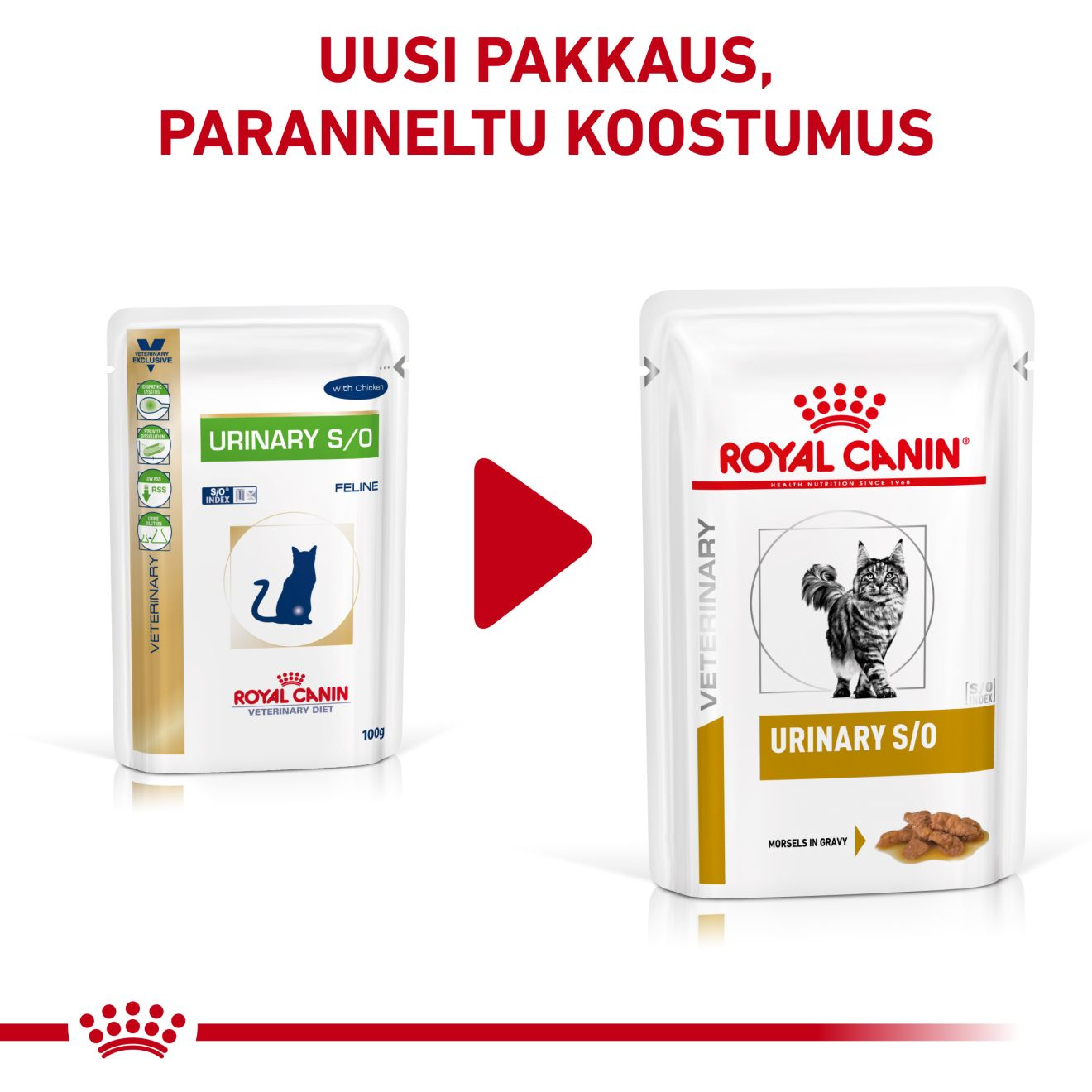 Royal Canin Veterinary Diets Urinary S/O Morcels in Gravy Pouch 12x85g kissan märkäruoka