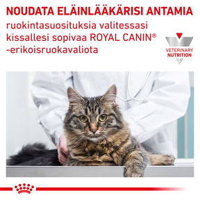 Royal Canin Veterinary Diets Urinary S/O Morcels in Gravy Pouch 12x85g kissan märkäruoka