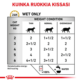 Royal Canin Veterinary Diets Urinary S/O Loaf Pouch 12x85g kissan märkäruoka