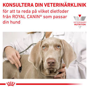 Royal Canin Veterinary Diets Gastrointestinal Loaf Can koiran märkäruoka