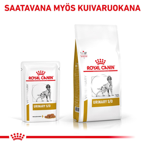 Royal Canin Veterinary Diets Urinary S/O CIG 12x100g koiran märkäruoka