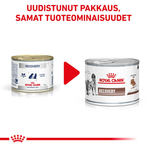 Royal Canin Veterinary Diets Gastrointestinal Recovery Ultra Soft Mousse Can 195g kissoille ja koirille märkäruoka