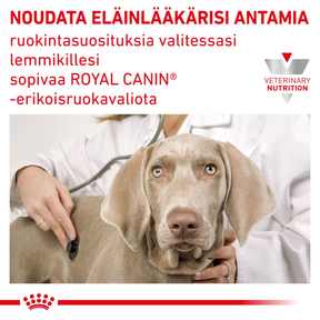 Royal Canin Veterinary Diets Gastrointestinal Recovery Ultra Soft Mousse Can 195g kissoille ja koirille märkäruoka