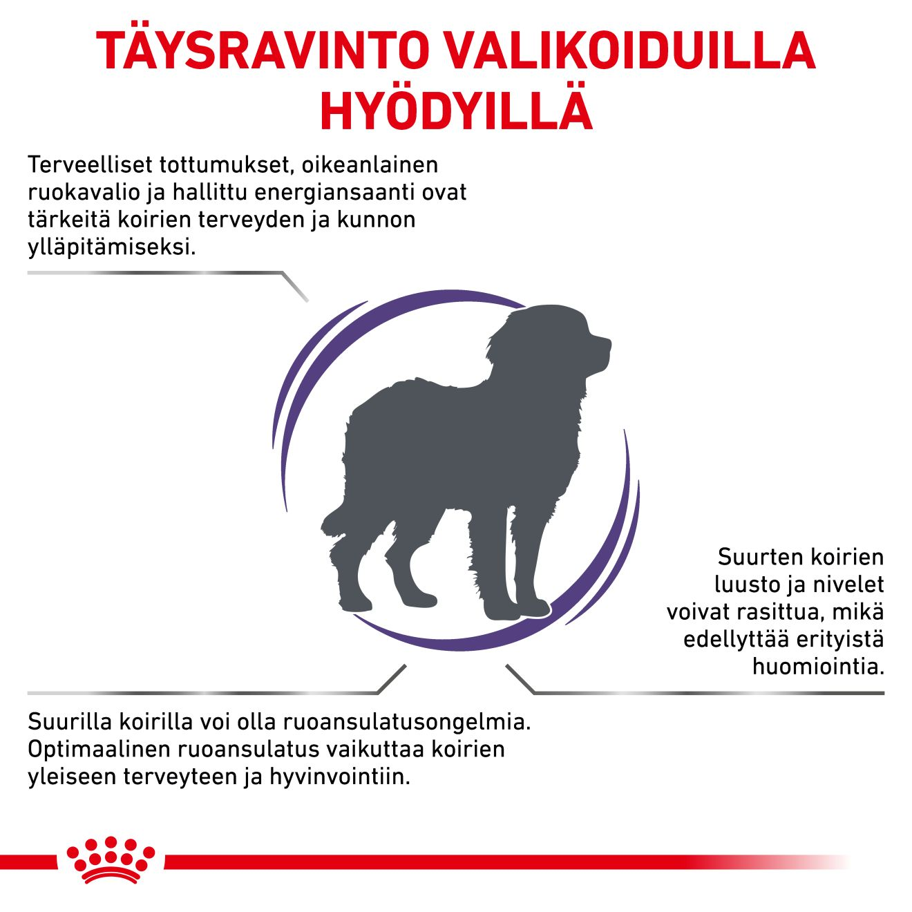 Royal Canin Veterinary Diets Health Management Adult Large Dog koiran kuivaruoka