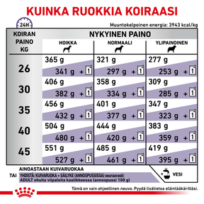 Royal Canin Veterinary Diets Health Management Adult Large Dog koiran kuivaruoka