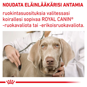 Royal Canin Veterinary Diets Health Management Adult Large Dog koiran kuivaruoka