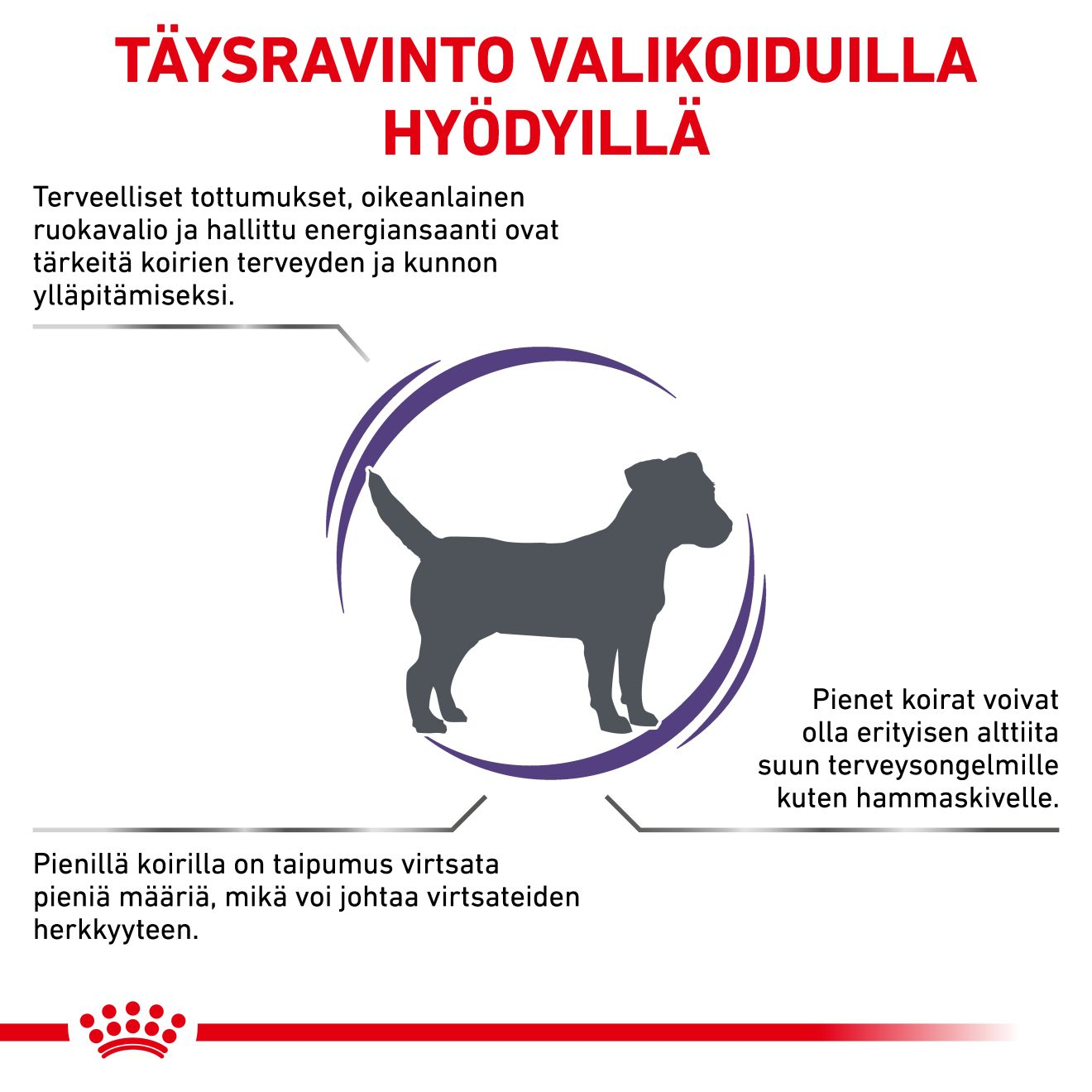 Royal Canin Veterinary Diets Health Management Adult Small dog koiran kuivaruoka