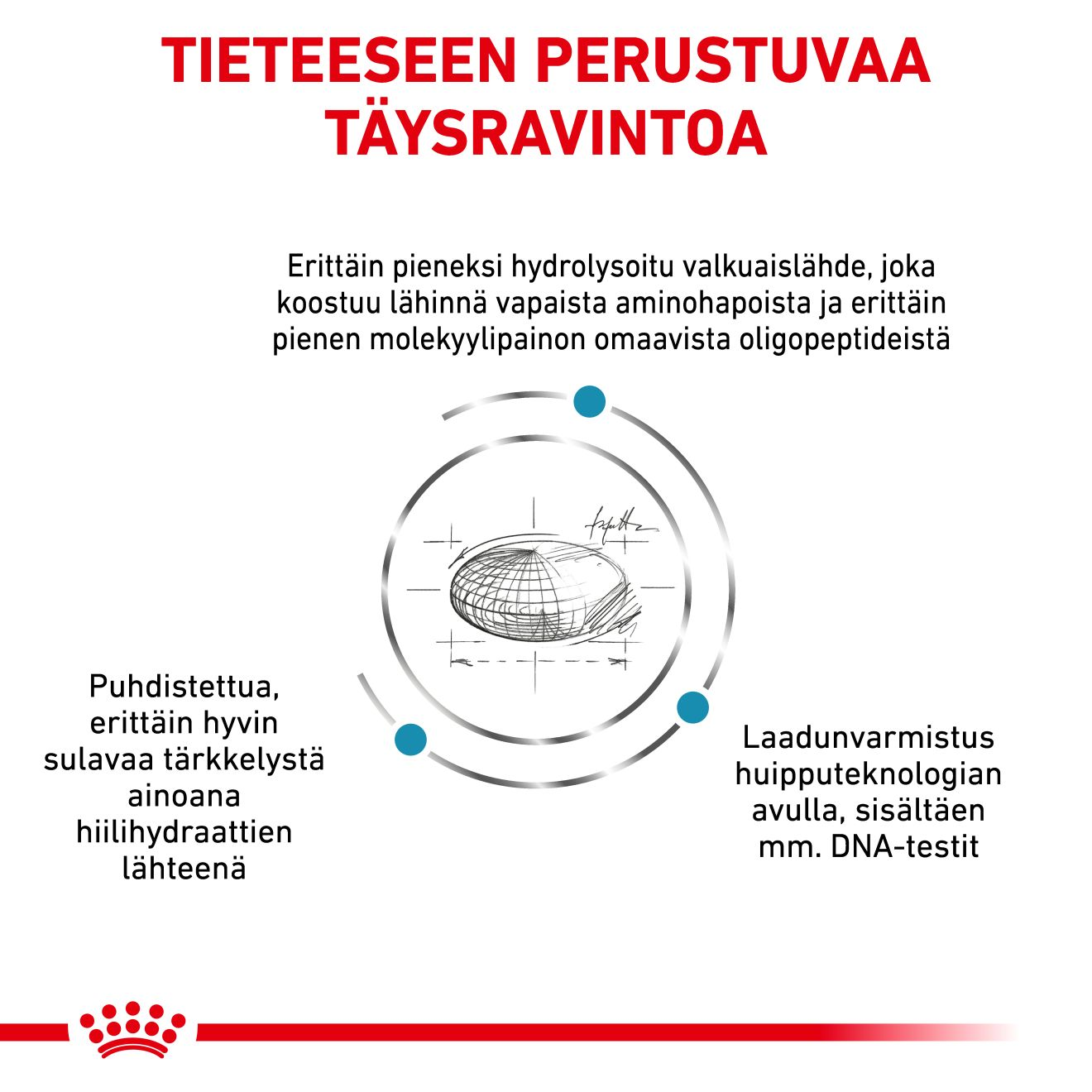 Royal Canin Veterinary Diets Derma Anallergenic Small Dog koiran kuivaruoka