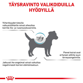 Royal Canin Veterinary Diets Derma Anallergenic Small Dog koiran kuivaruoka