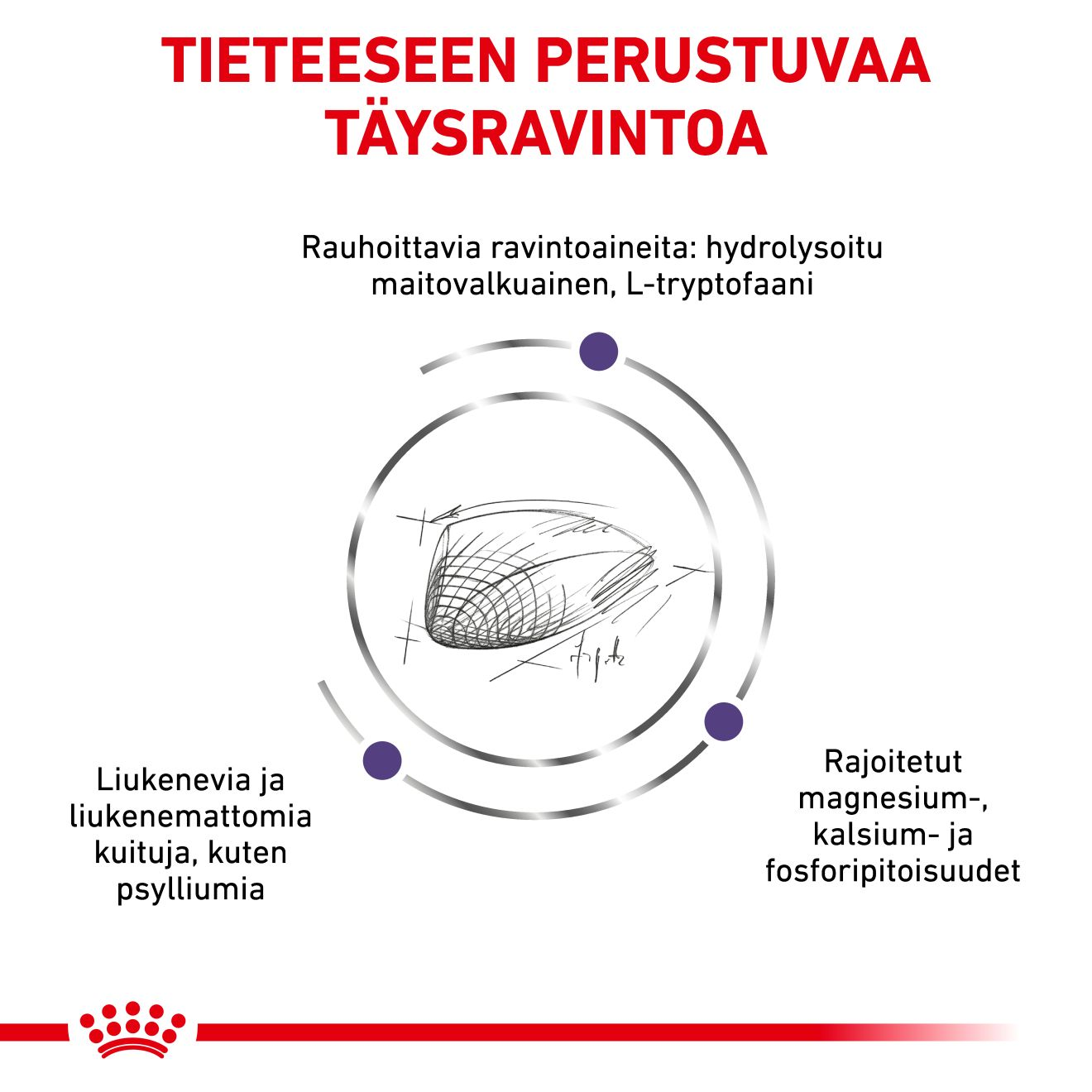 Royal Canin Veterinary Diets Health Management Calm kissan kuivaruoka