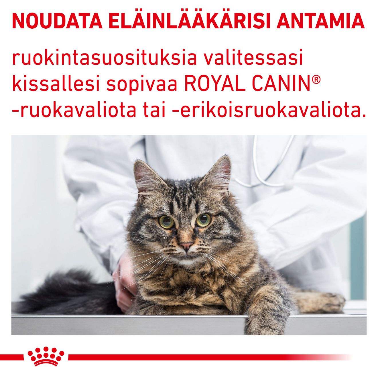 Royal Canin Veterinary Diets Health Management Calm kissan kuivaruoka