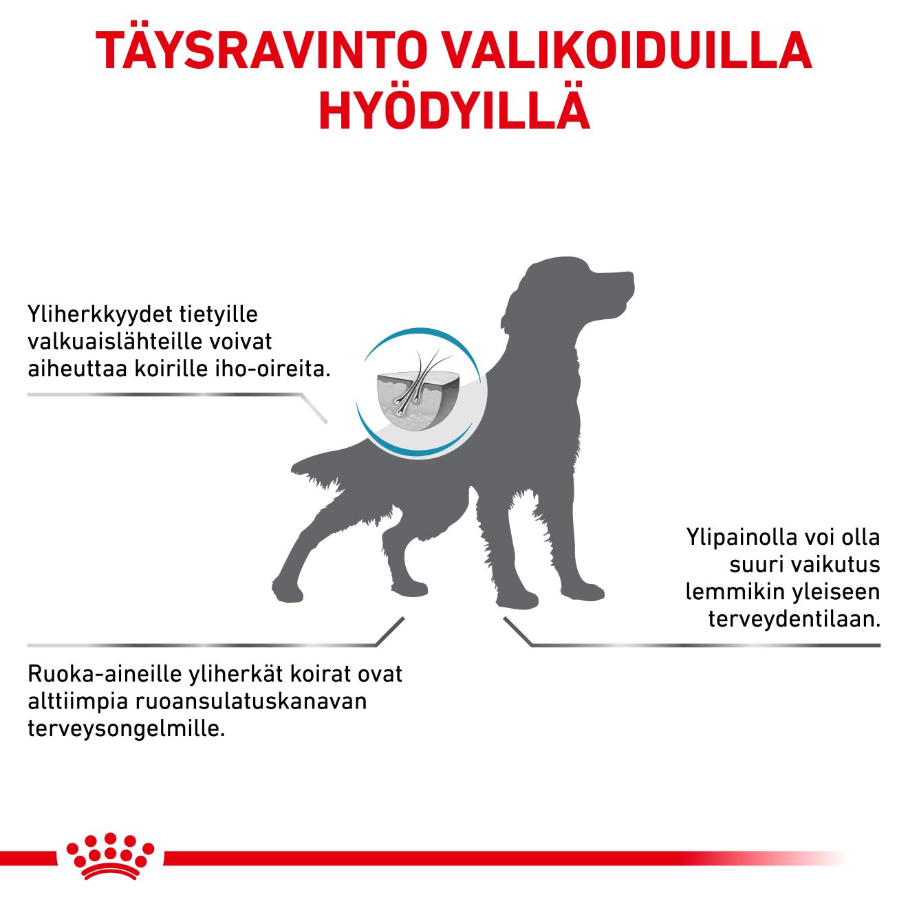 Royal Canin Veterinary Diets Derma Hypoallergenic Moderate Calorie koiran kuivaruoka