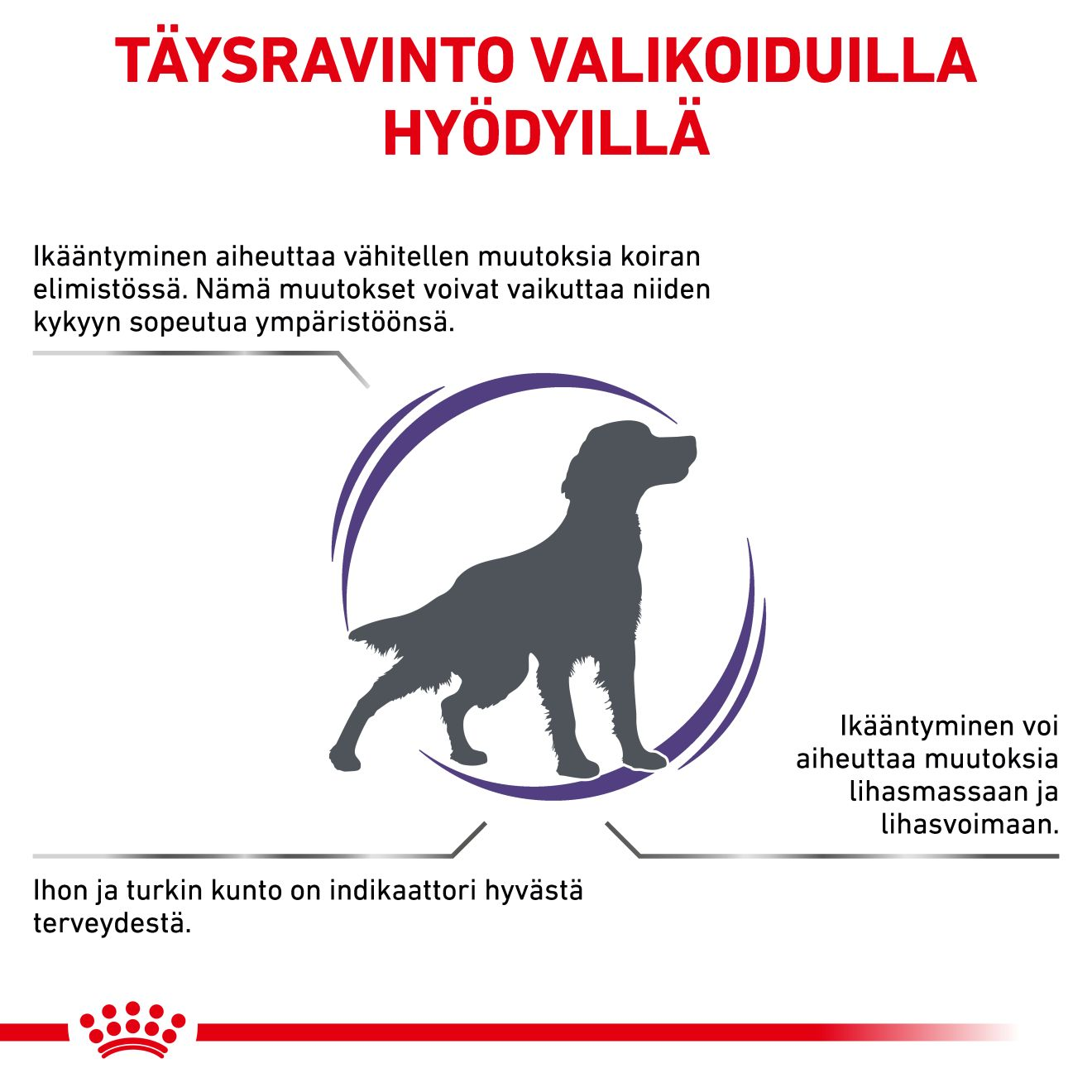 Royal Canin Veterinary Diets Health Management Mature Consult koiran kuivaruoka