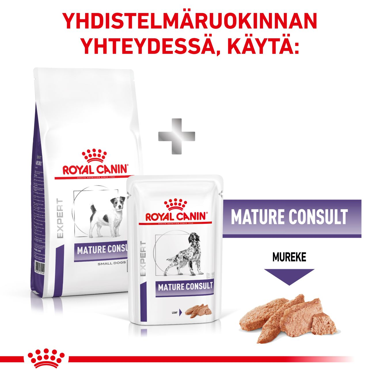 Royal Canin Veterinary Diets Health Management Mature Consult small dog koiran kuivaruoka