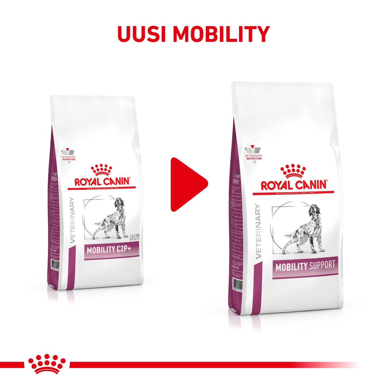 Royal Canin Veterinary Diets Mobility Support koiran kuivaruoka