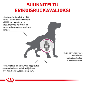 Royal Canin Veterinary Diets Mobility Support koiran kuivaruoka