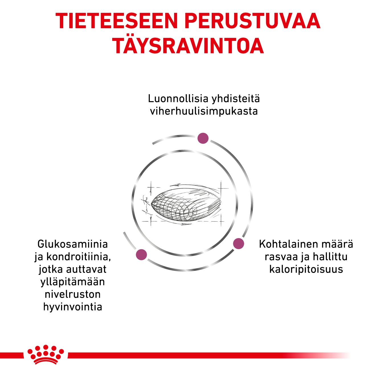 Royal Canin Veterinary Diets Mobility Support koiran kuivaruoka