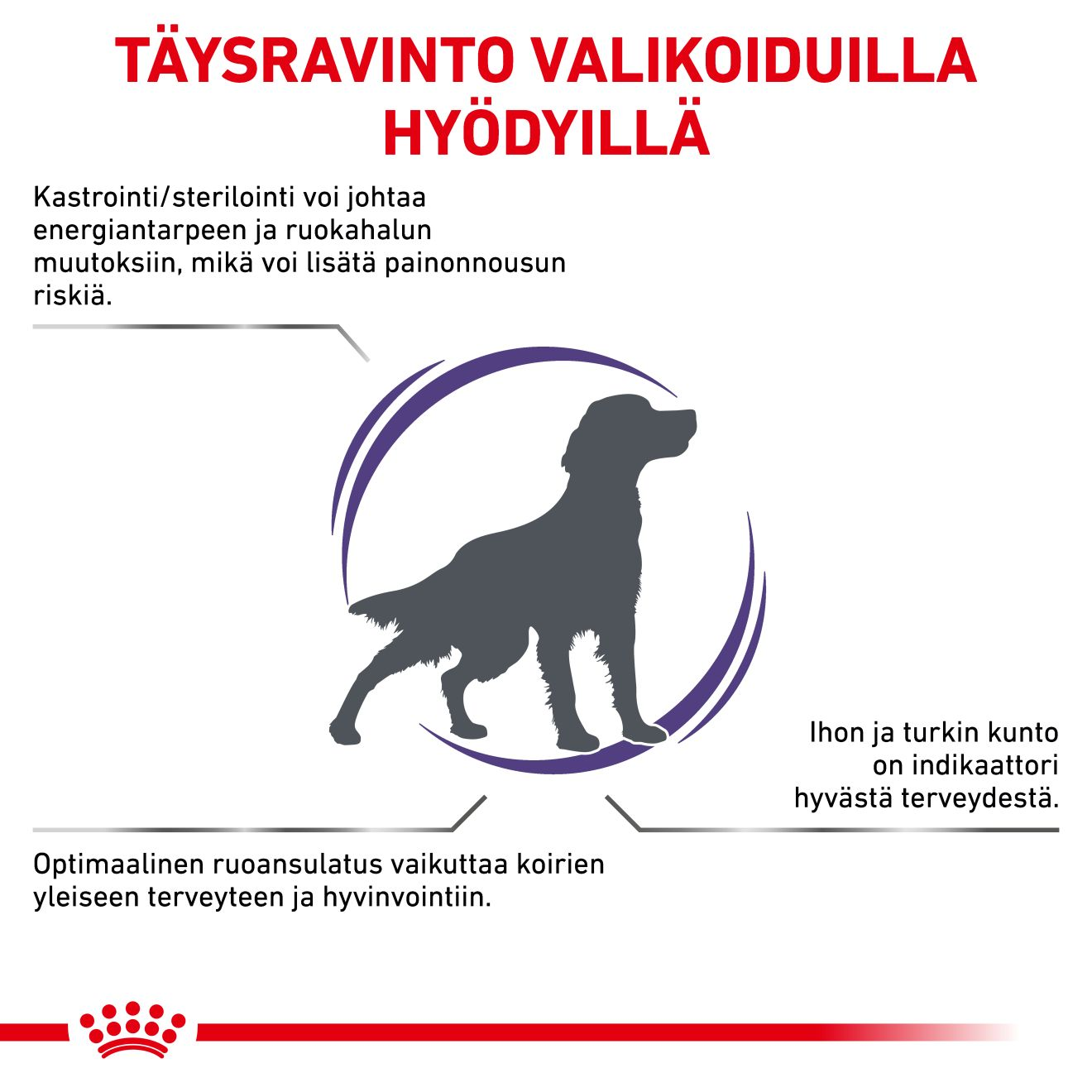 Royal Canin Veterinary Diets Health Management Neutered Adult koiran kuivaruoka