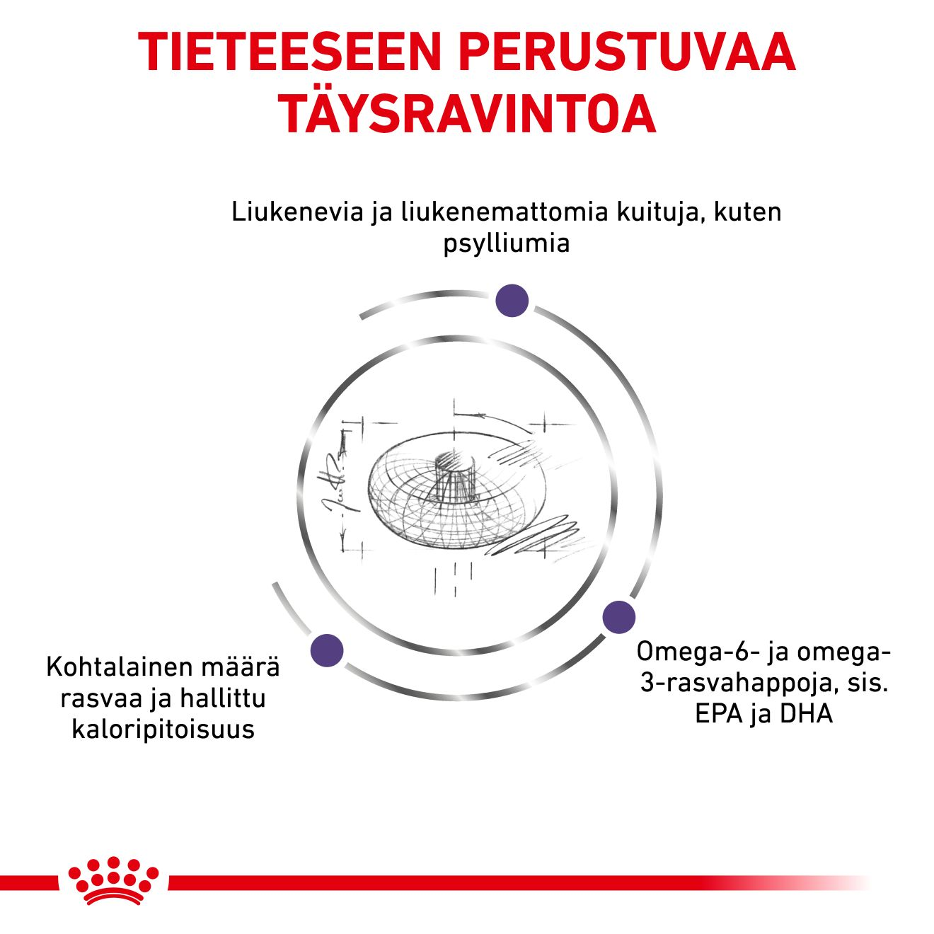 Royal Canin Veterinary Diets Health Management Neutered Adult koiran kuivaruoka