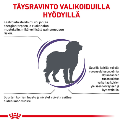 Royal Canin Veterinary Diets Health Management Neutered Adult Large Dog koiran kuivaruoka