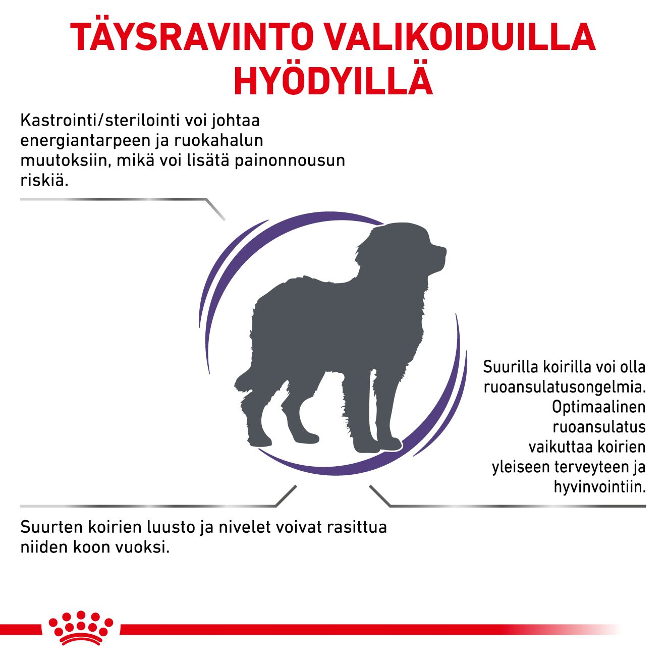 Royal Canin Veterinary Diets Health Management Neutered Adult Large Dog koiran kuivaruoka