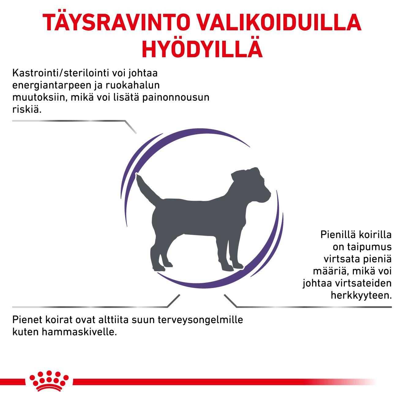 Royal Canin Veterinary Diets Health Management Neutered Adult Small Dog koiran kuivaruoka