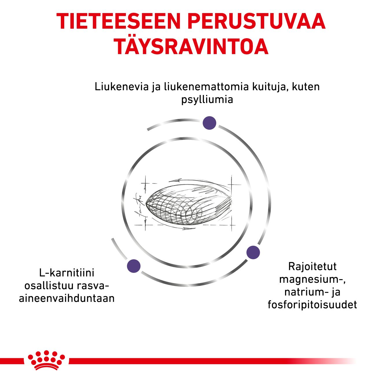 Royal Canin Veterinary Diets Health Management Neutered Satiety Balance kissan kuivaruoka