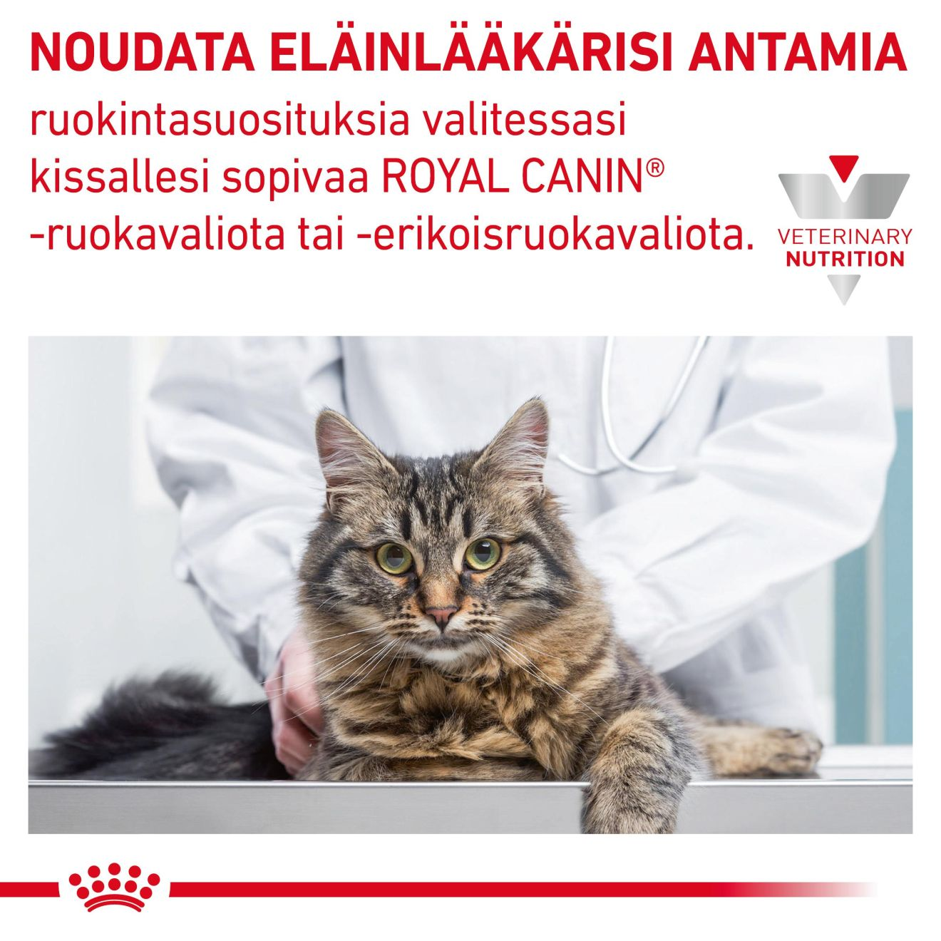 Royal Canin Veterinary Diets Derma Sensitivity Control kissan kuivaruoka