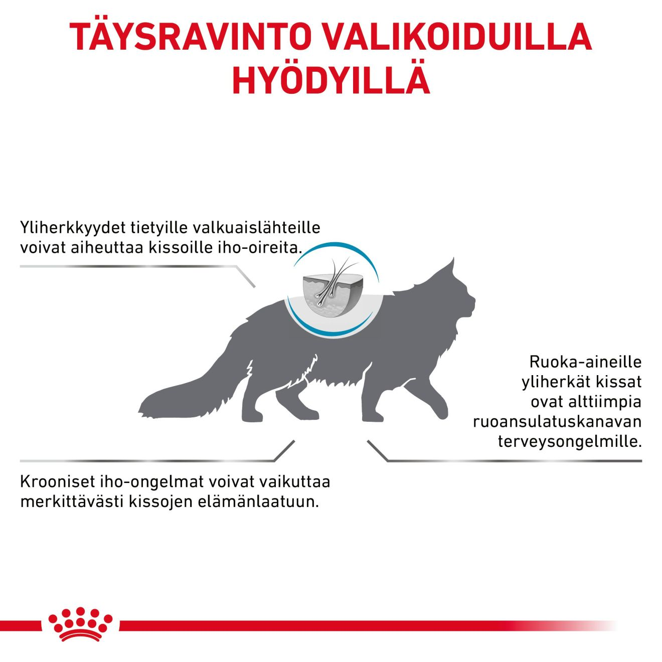 Royal Canin Veterinary Diets Derma Sensitivity Control kissan kuivaruoka