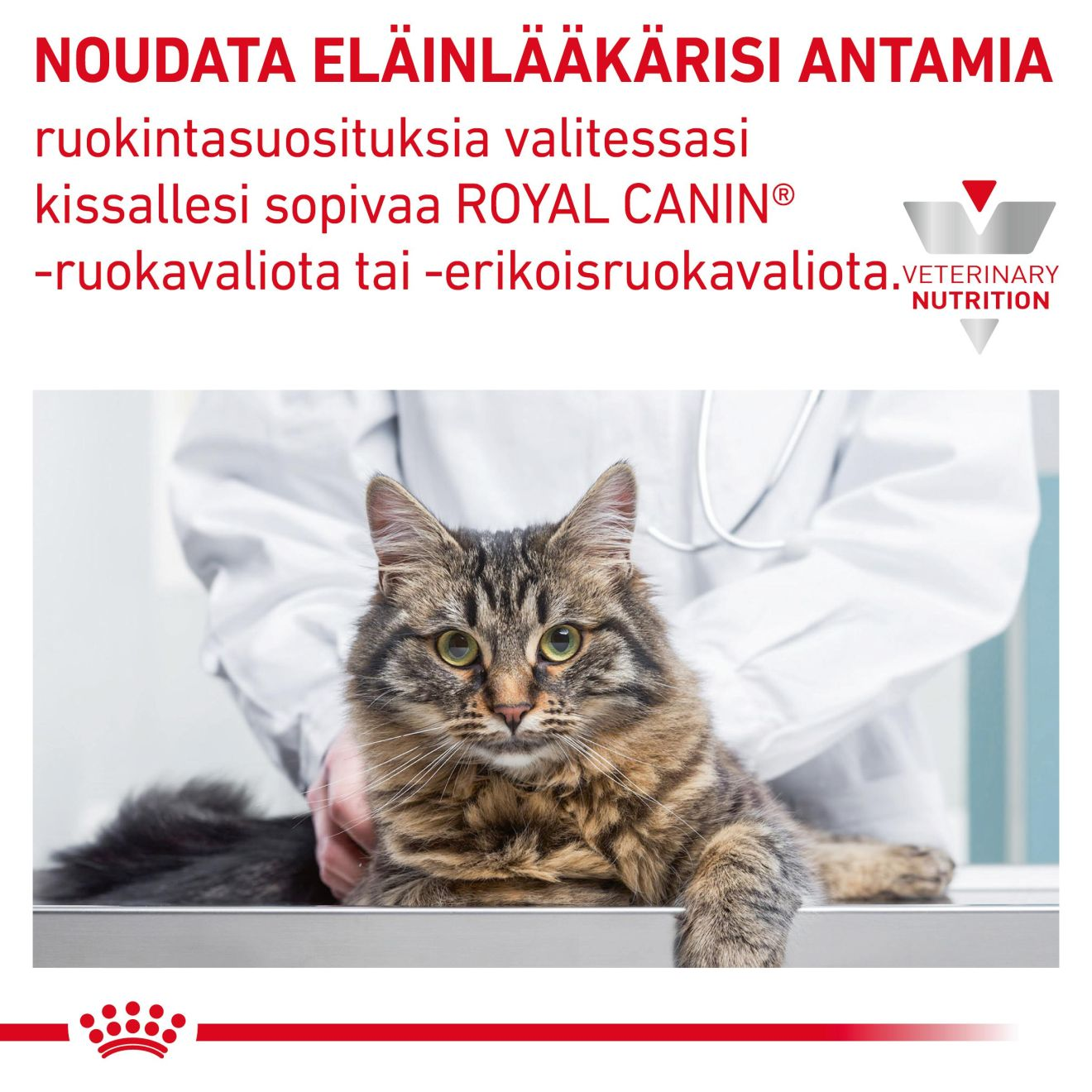 Royal Canin Veterinary Diets Derma Sensitivity Control Chicken Pouch 12x85g kissan märkäruoka